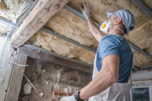 Best Insulation Maintenance and Repair in South Hutchinson, KS